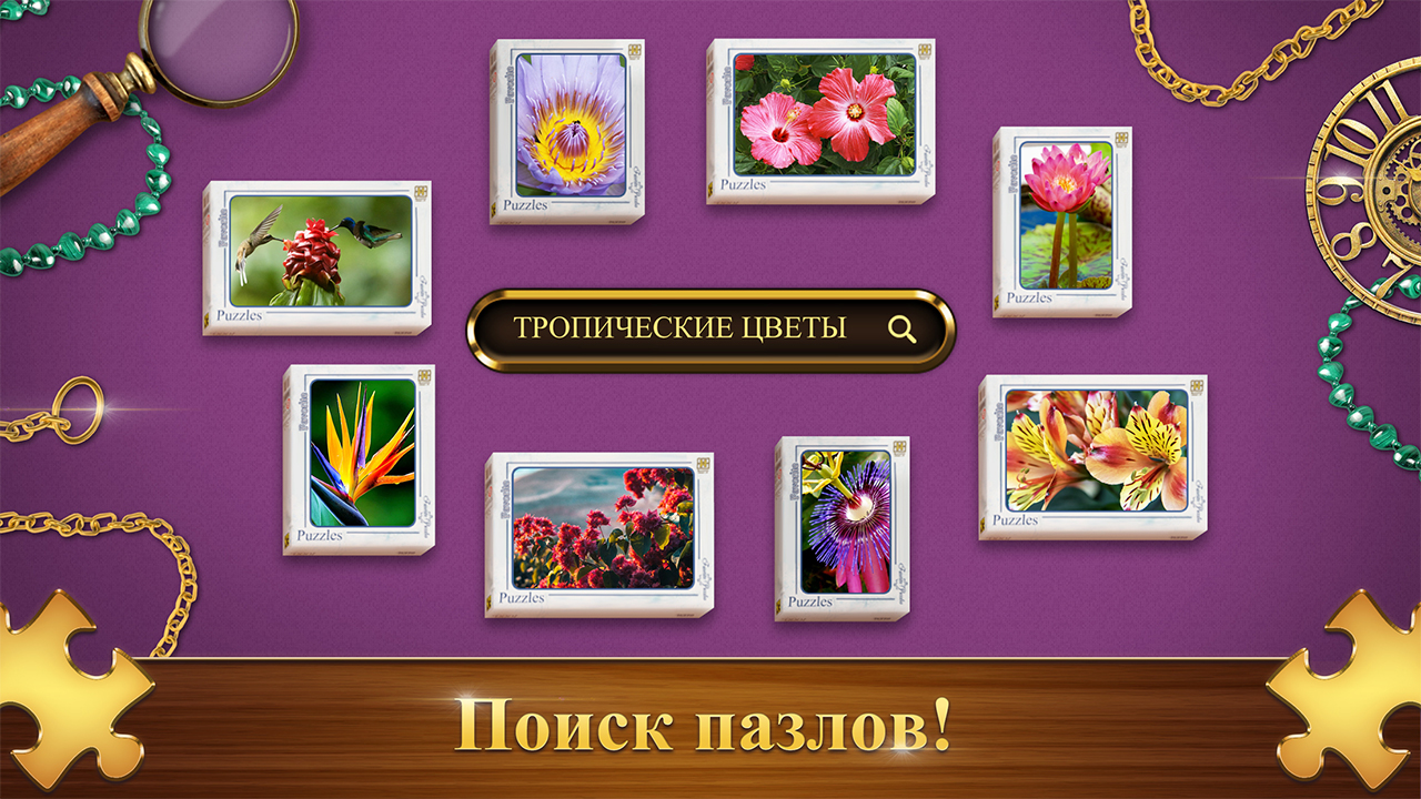 Поиск пазлов